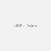 GRK5, Active